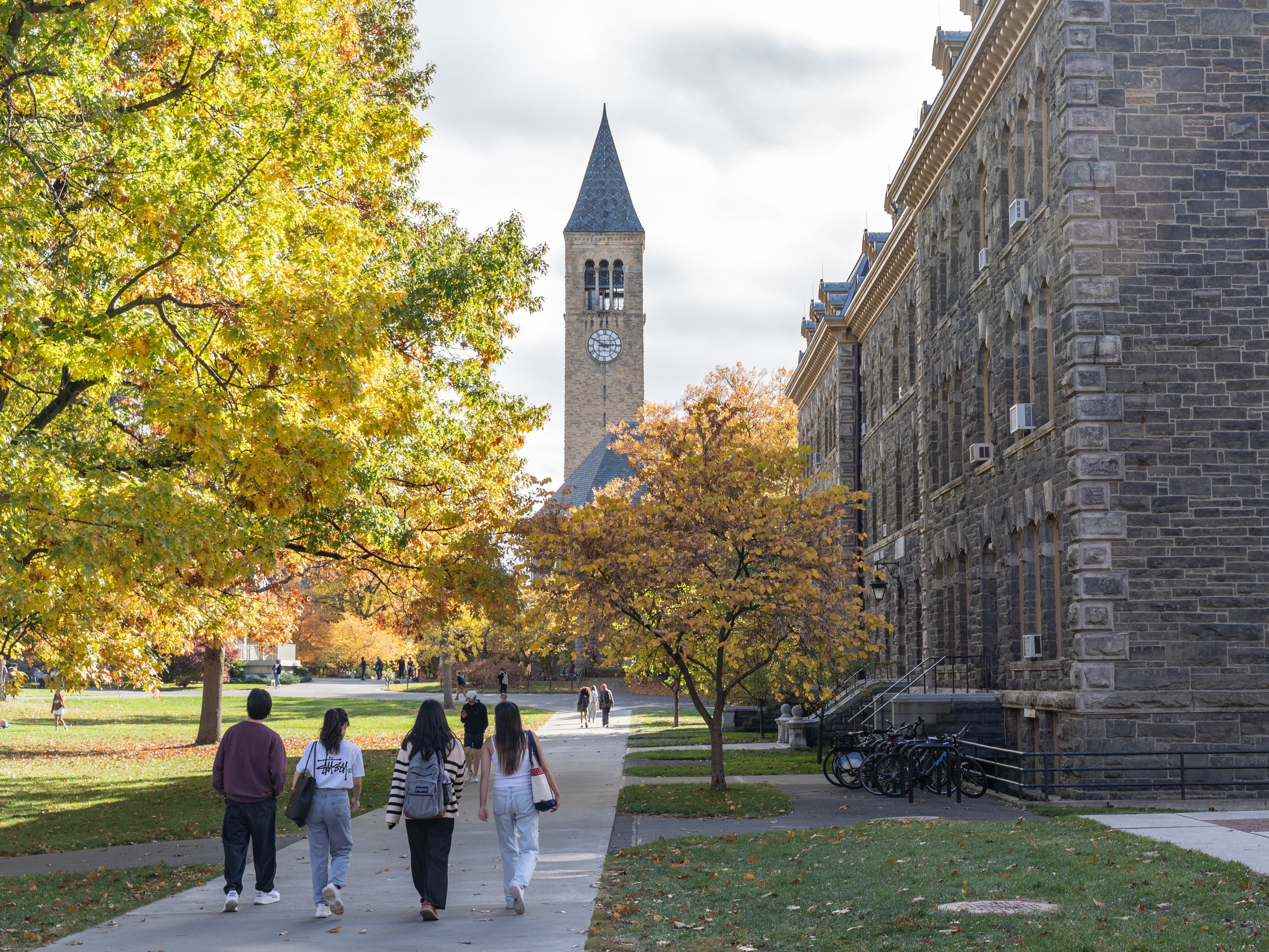 アメリカで最も学費の高い大学ランキング トップ25 [2025年版] | Business Insider Japan