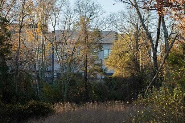 【独自】AIは「汚れた電力」で動いている。喘息、早産、早死に…「データセンター・ブーム」のツケは市民が払う