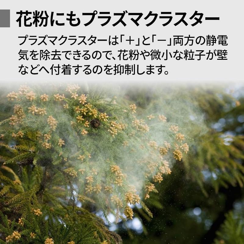 image:Amazon.co.jp