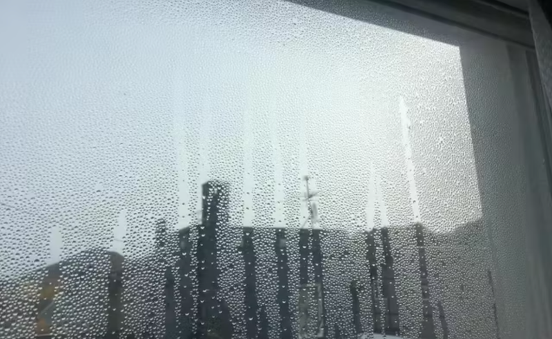 Image: ジャパンピープル商事株式会社