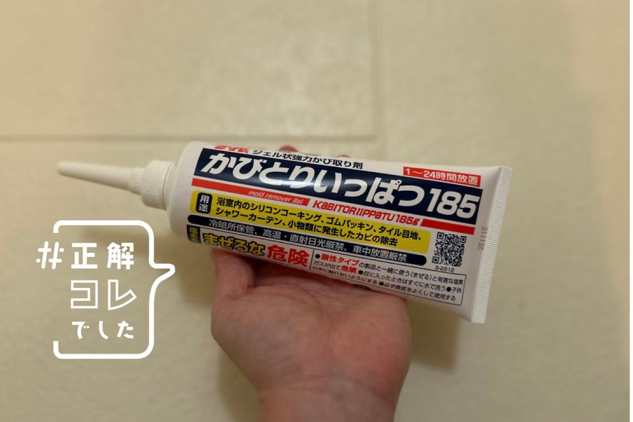 正解コレでしたの記事 | 連載 | Business Insider Japan