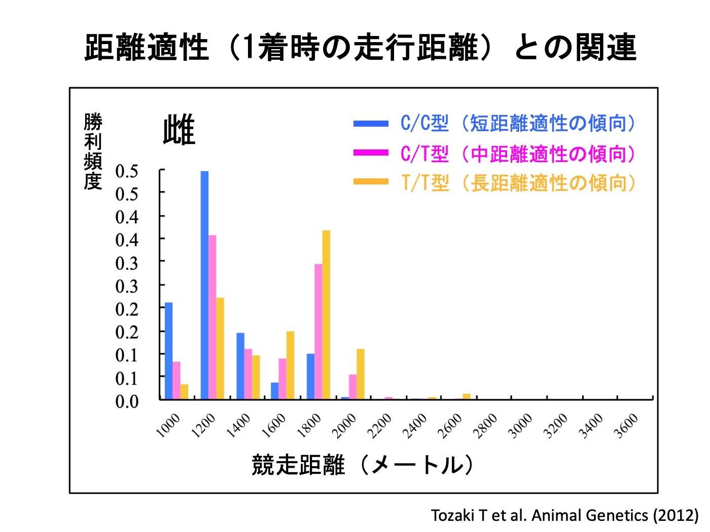 馬」の速さは血統か、訓練か。ウマの専門家に聞く、サラブレッドが速く