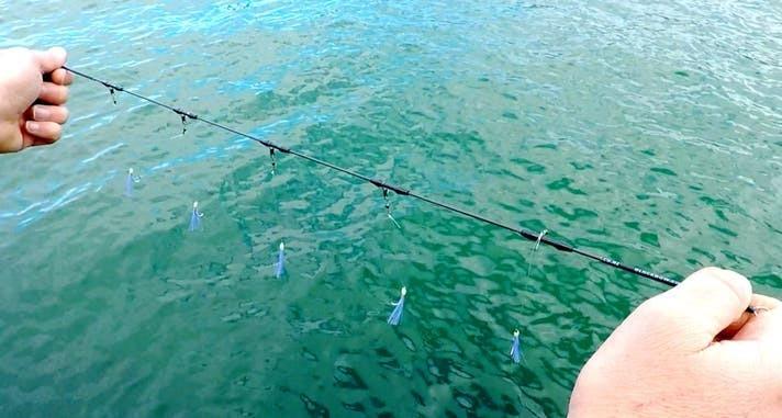 道楽　シニカケ　釣りには未使用 釣りを台無しにする「糸絡み」を減らしたい。NZ発のサビキ仕掛けを試し