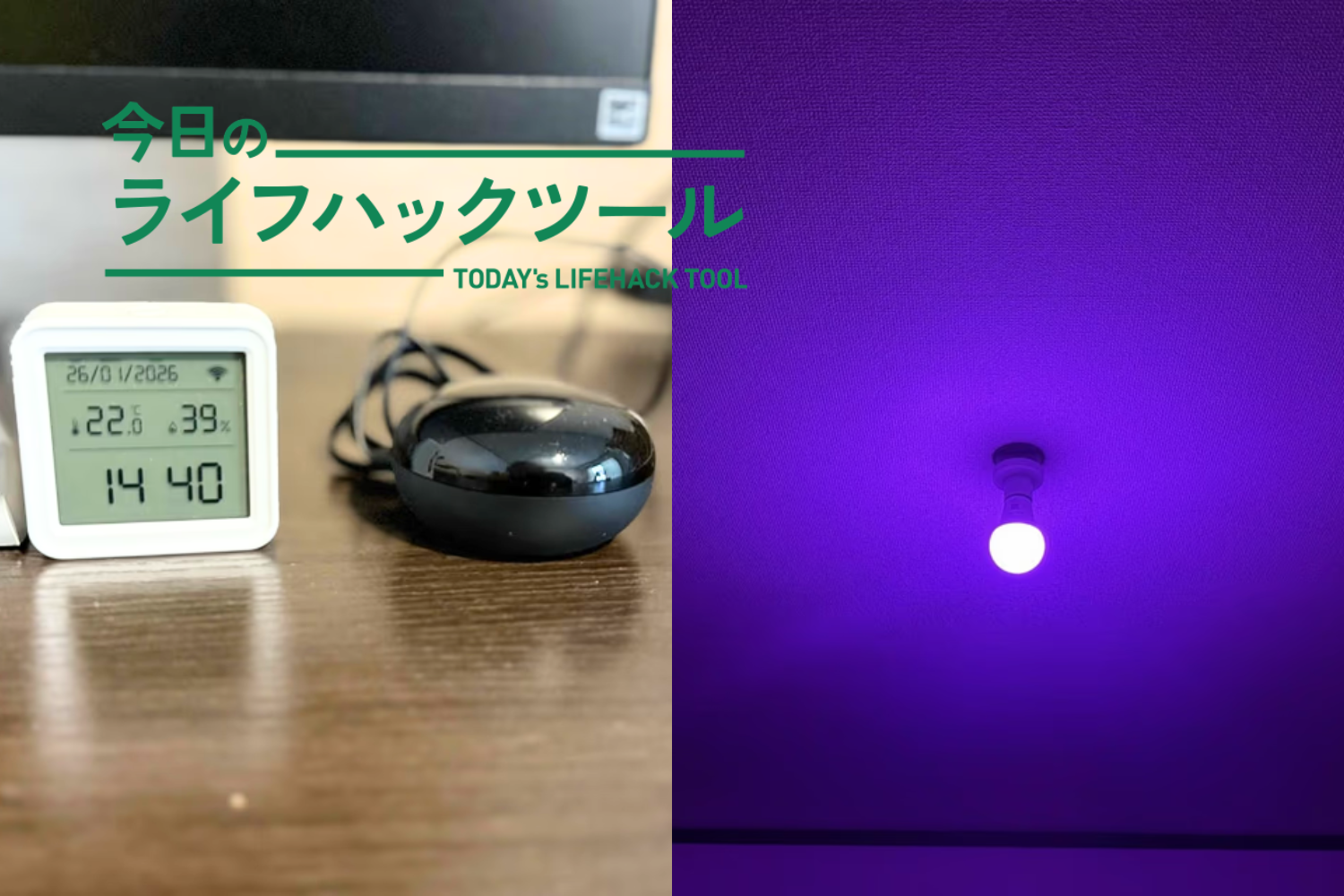 天気で色が変わる部屋。ニトリのスマート家電は「暮らしのルール」を