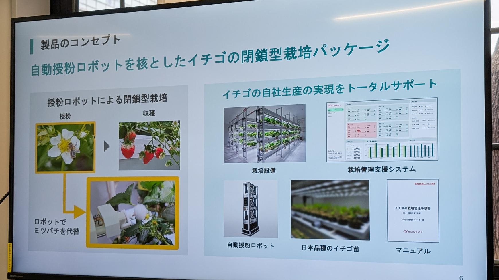 静岡の28歳が作った世界最高精度の「イチゴ授粉ロボット」。住友商事と