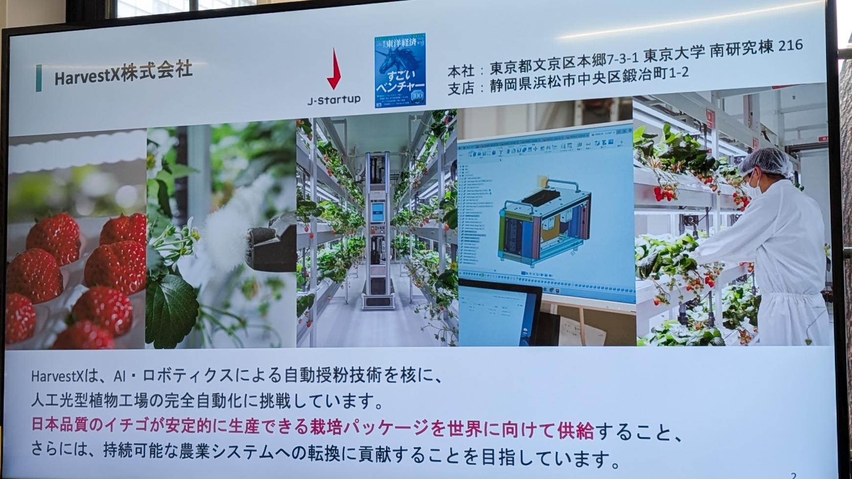 静岡の28歳が作った世界最高精度の「イチゴ授粉ロボット」。住友商事と