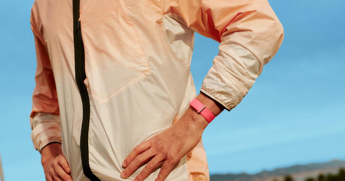 FitbitからGoogle Healthへ。AIコーチと過ごした数週間が教えてくれたこと - Business Insider Japan