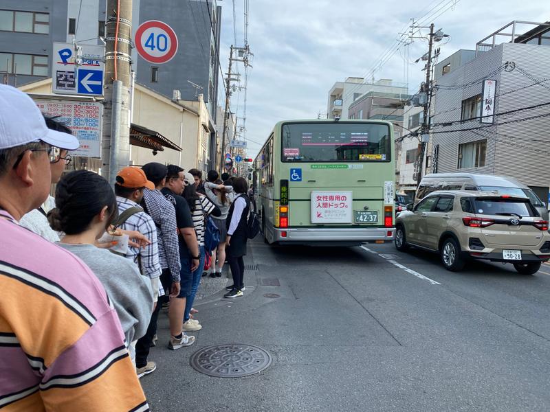 主要な観光地ではバス以外でのアクセスが難しく、路線バスの観光利用が集中している。