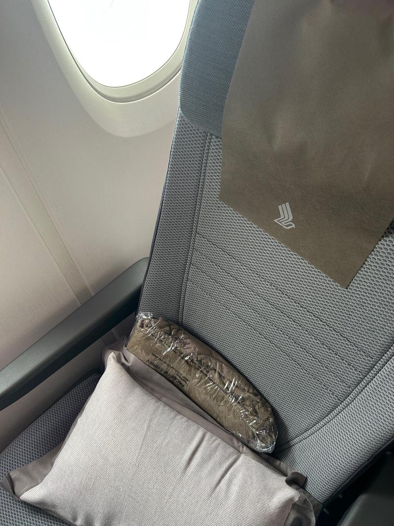 Singapore Airlines seat