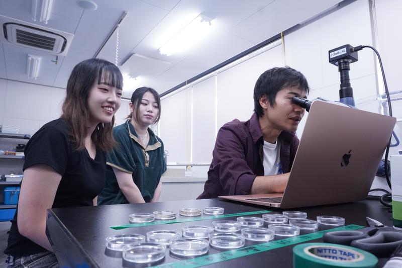 トリガイの種苗生産に向けた研究の様子。町のインターン制度を活用して訪れた大学生や社会人が、長谷川さん（右）の研究を助けた。