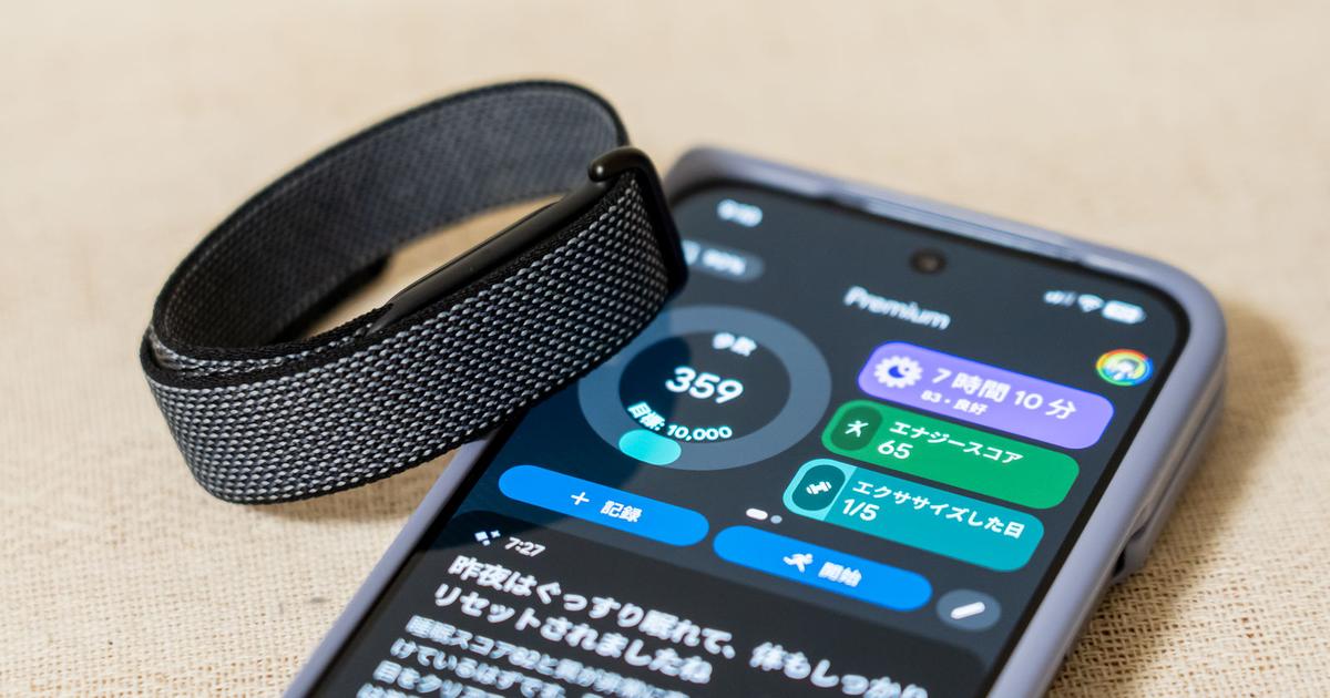 10日間使ってわかった「Google Fitbit Air」の実力：わずか10gで7日間 