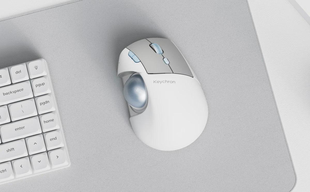 夏が始まるよ。GIZMARTのサマーフェスで一足早く常夏気分を味わおう