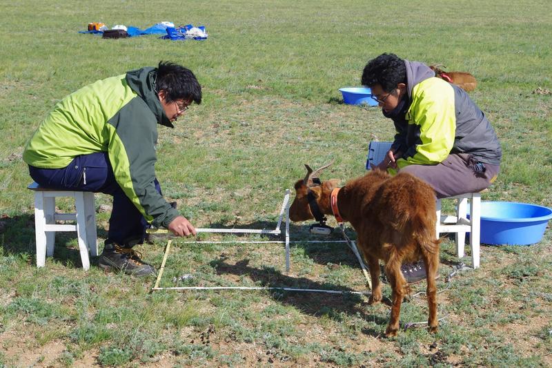 調査サイトで植生調査を行う川田先生(左)。