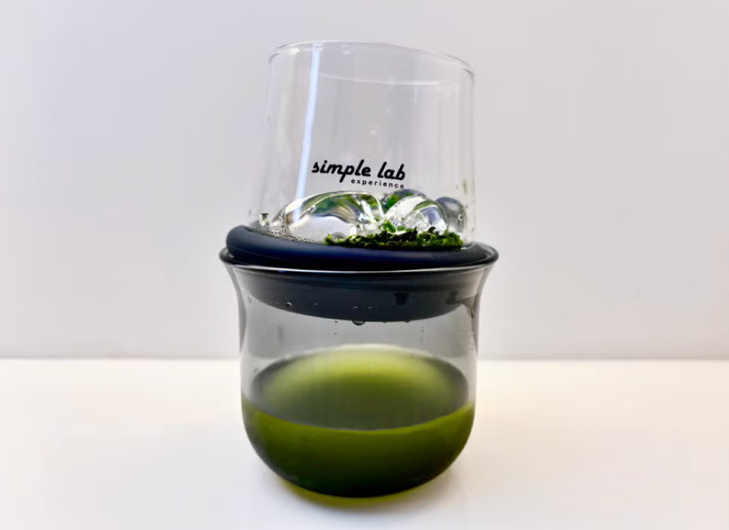 お湯が、すぐ下に落ちない。空気圧でお茶を淹れるガラス茶器の仕組みが