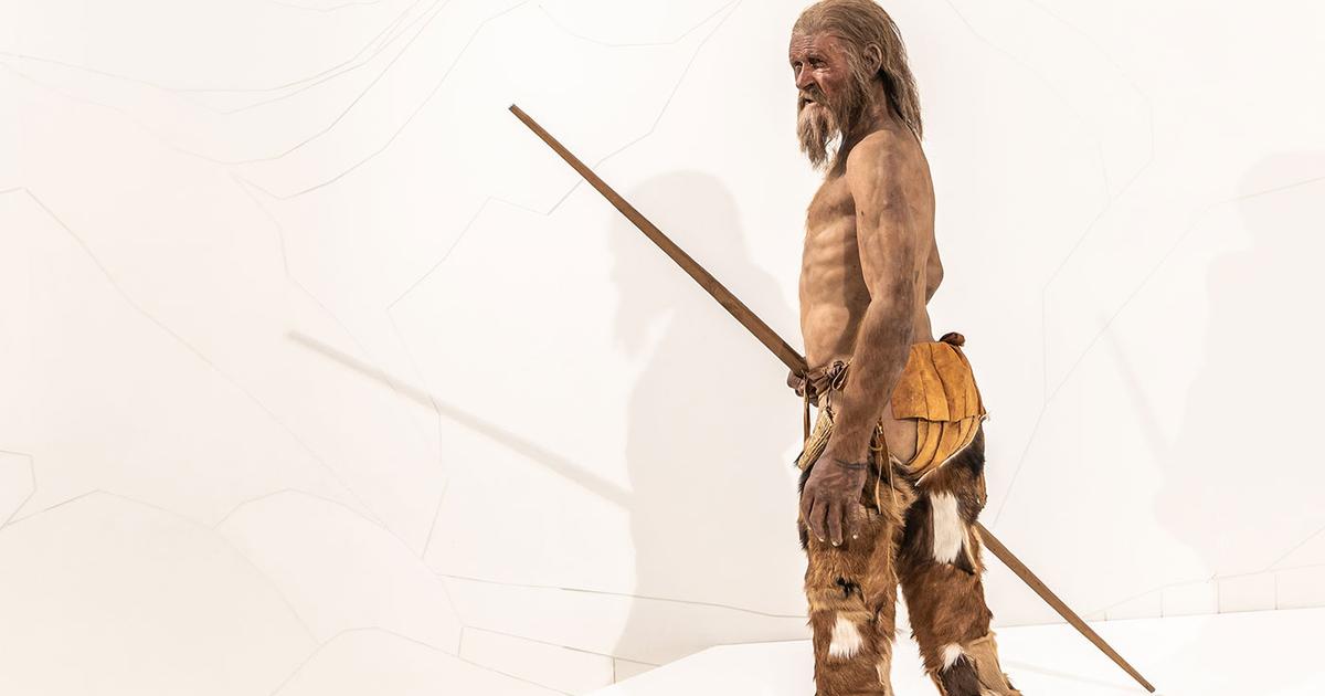 5300年前の「アイスマン」の体内で微生物が生き続けている
