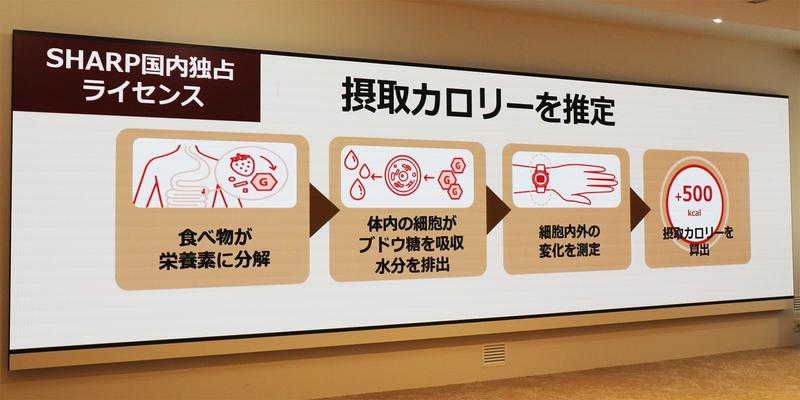 摂取カロリーの推定に関するスライド