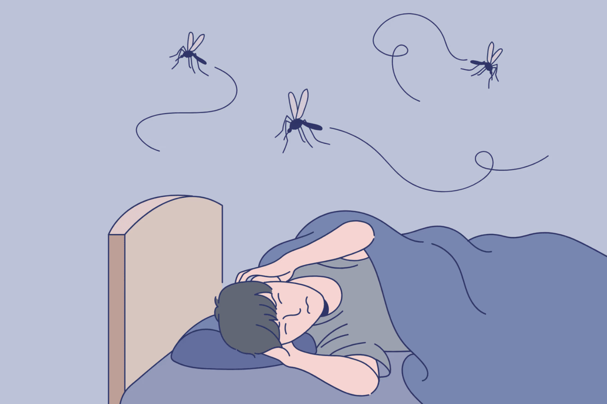 蚊 の 捕まえ 方