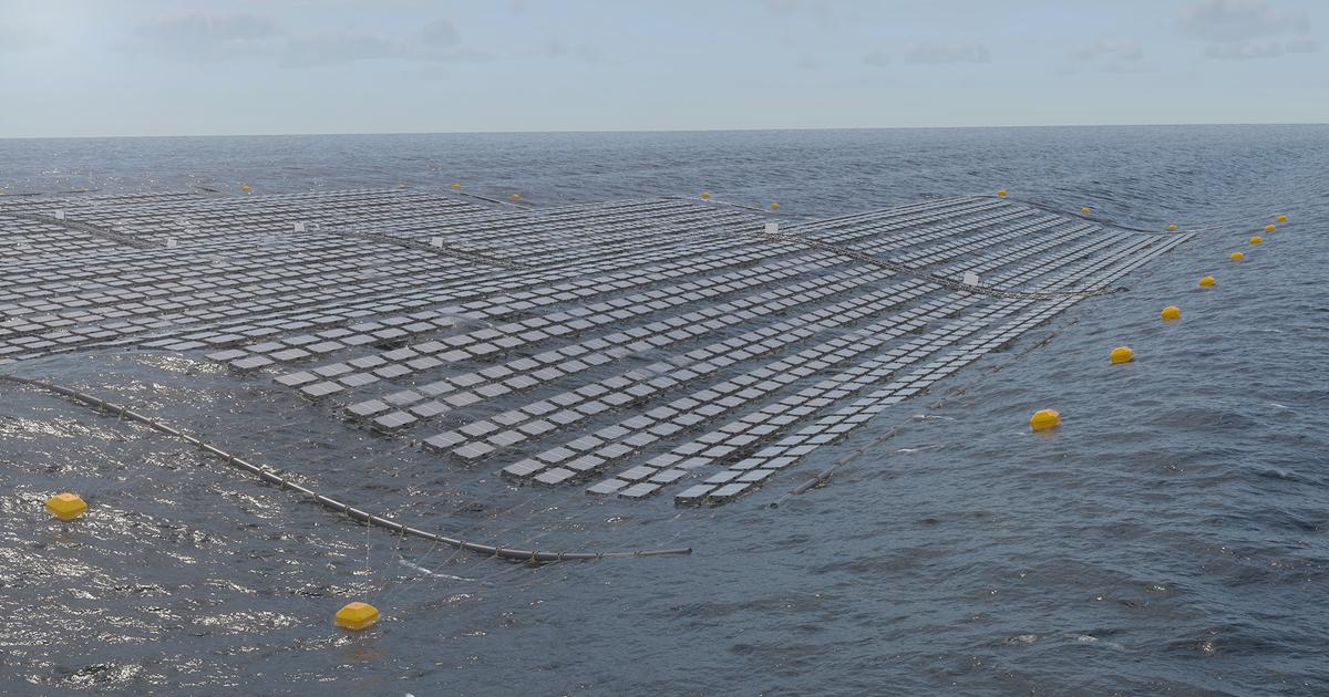 海苔の養殖かと思ったら水上太陽光発電だった | ギズモード・ジャパン