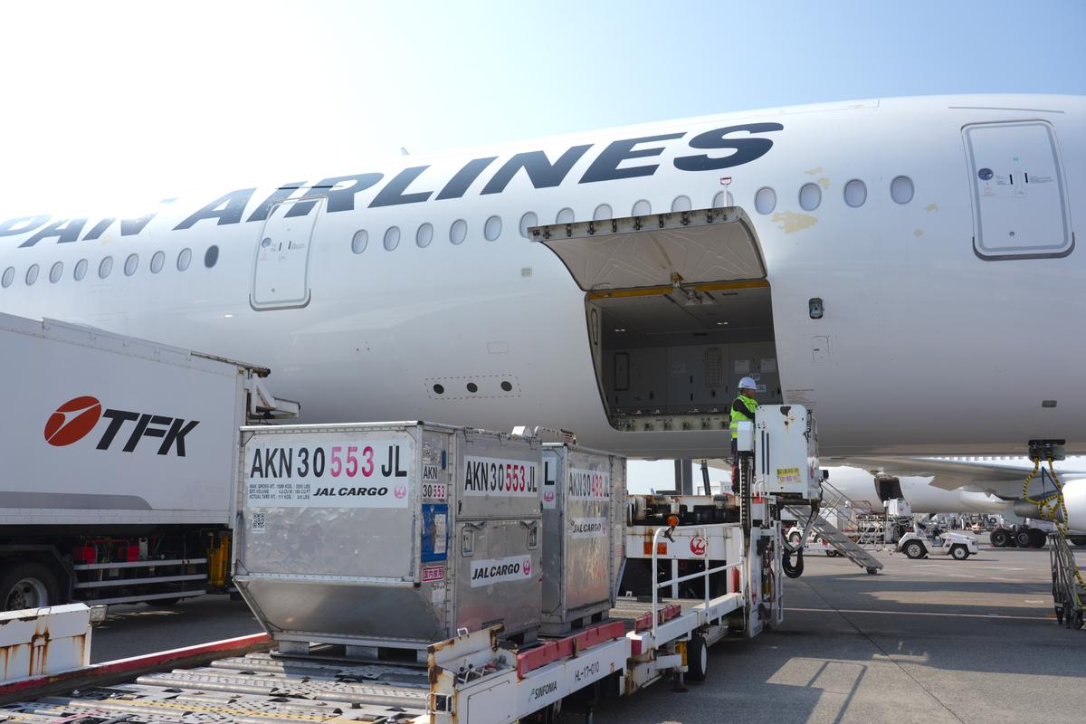 ペルチェ空調ベスト、脱ツナギ...JALが現場の暑さ対策を公開。「体感50度くらい」「新人はひと夏で体重10キロ減」“酷暑現場”のいま