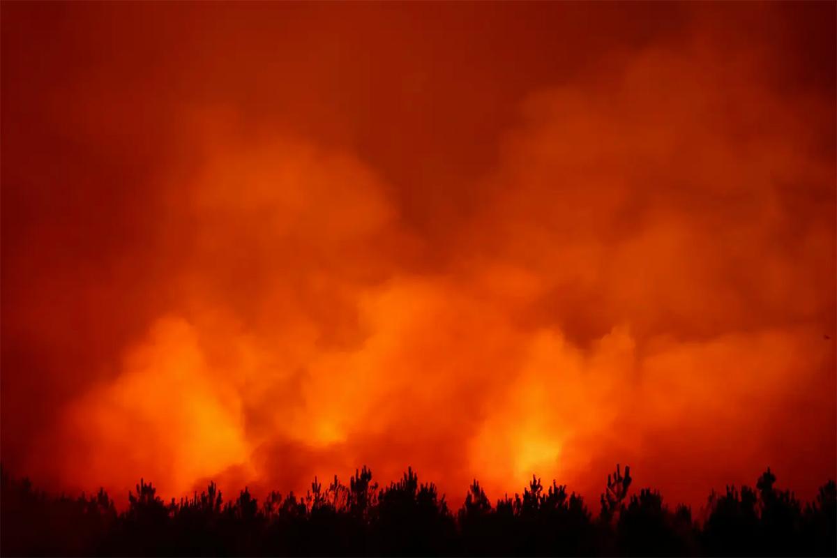 【衛星画像】フランス史上最悪の山火事に襲われた各地の壊滅的な被害
