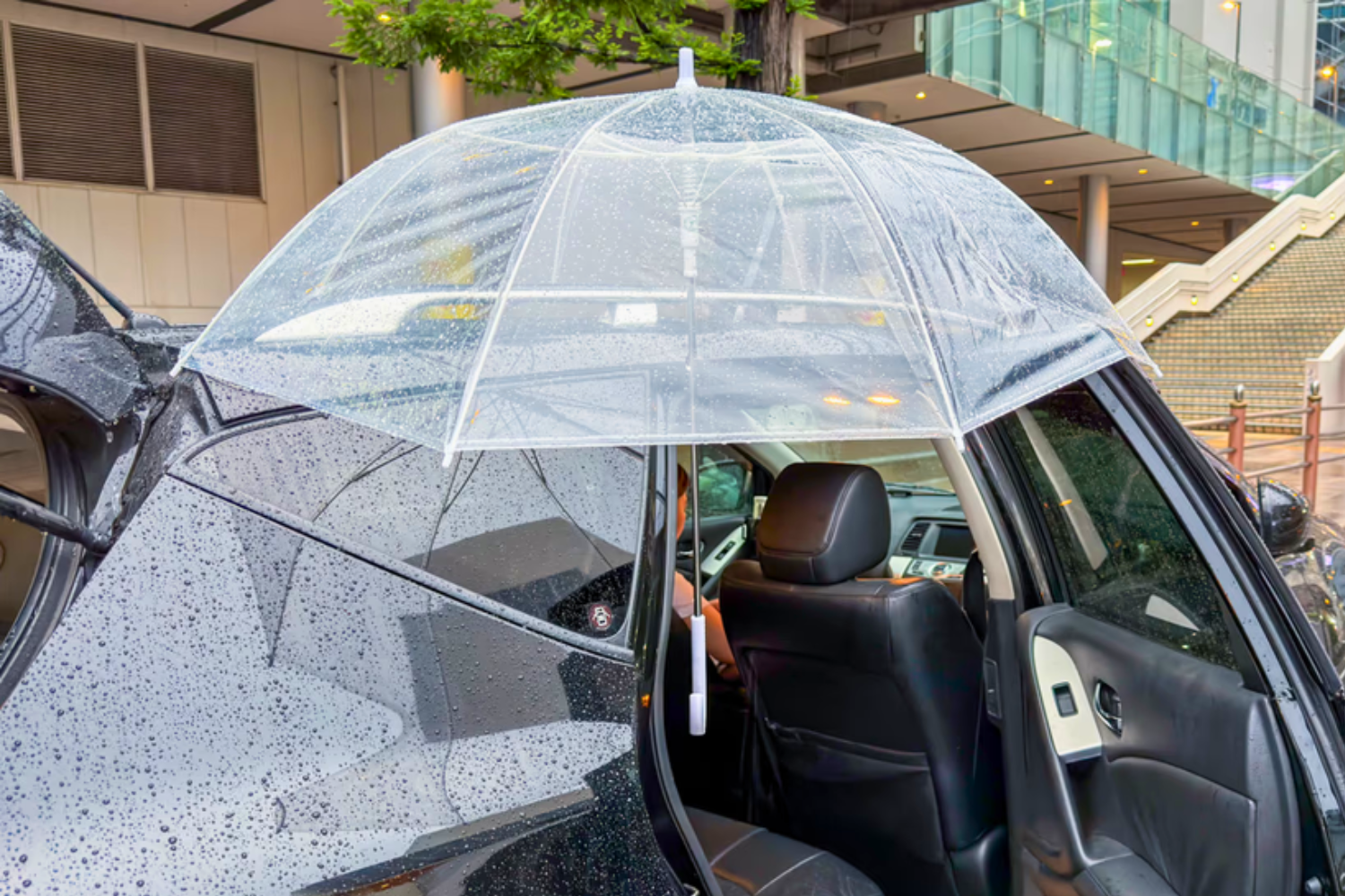 傘が浮いた！？3COINSのシリコンホルダーが、雨天時に車へ荷物を積み込むときの救世主だった
