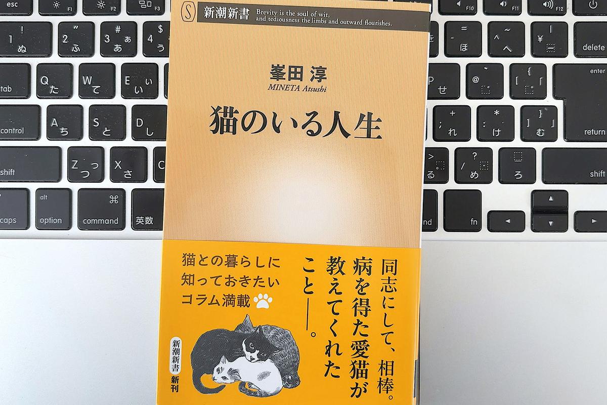 【毎日書評】別れすら愛おしい。予測不能な日常をもたらす猫との暮らし