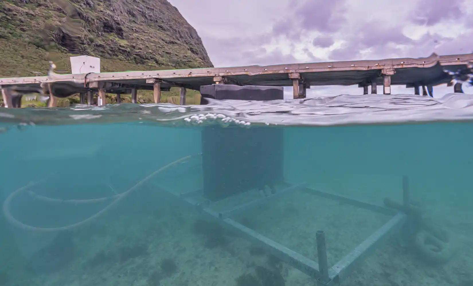 波のゆらゆらを電気に。ハワイの海で水中サーファーが発電開始