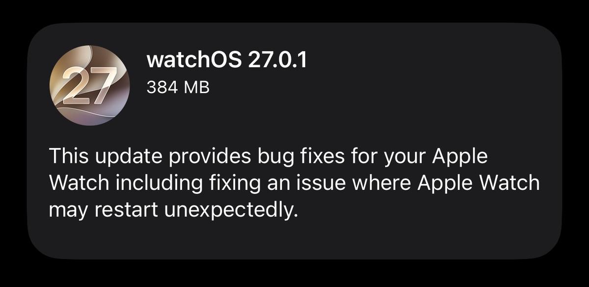 新型Apple Watchのバグに困ってる人。最新アップデートで修正されるよ