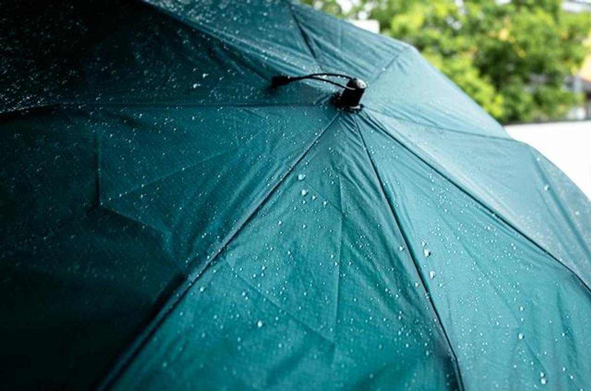 台風にも負けない（かもしれない）頼りになる傘たち