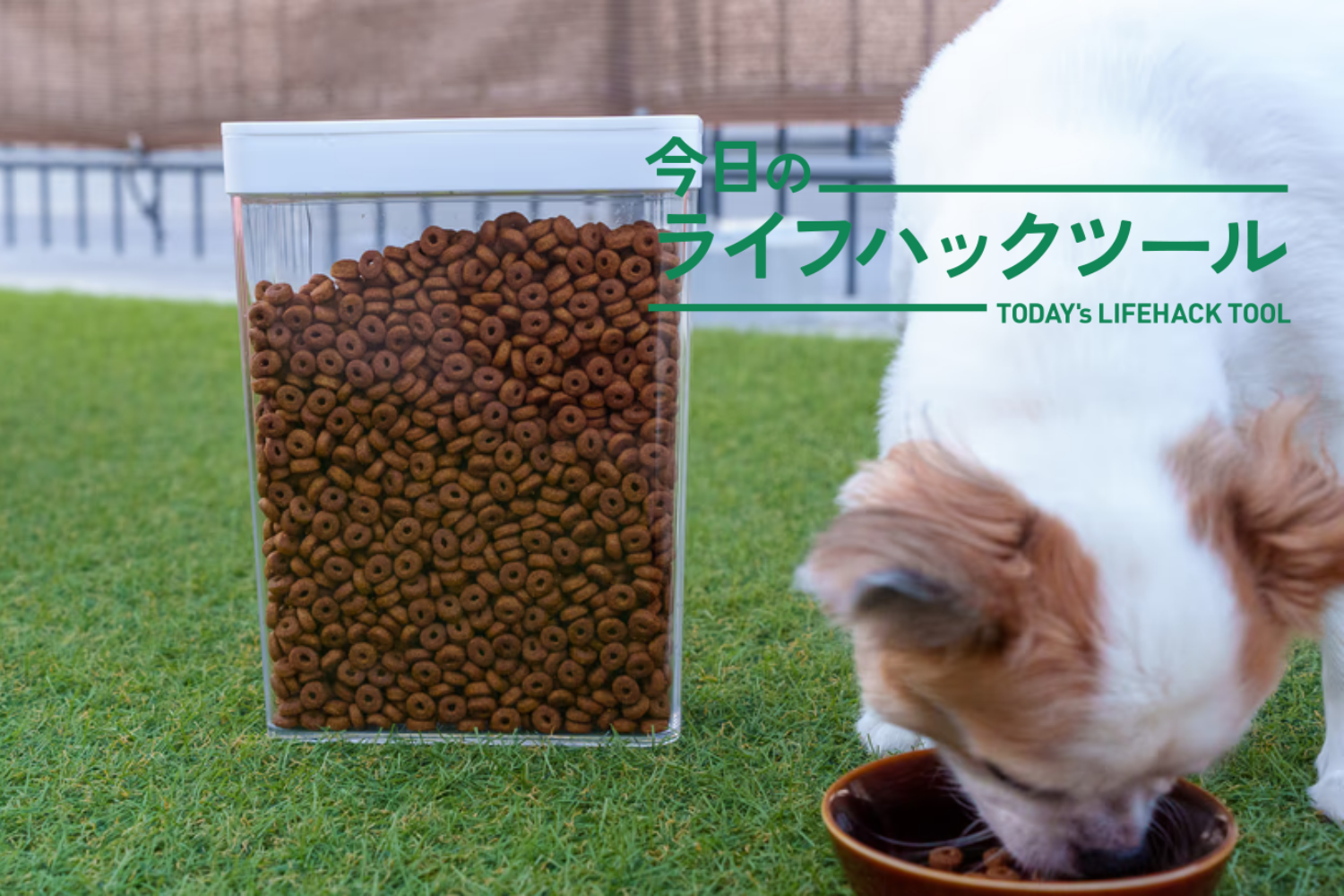 愛犬のフードは「隠さず・見せて」収納する。ごはんタイムがスムーズになるストッカー活用術