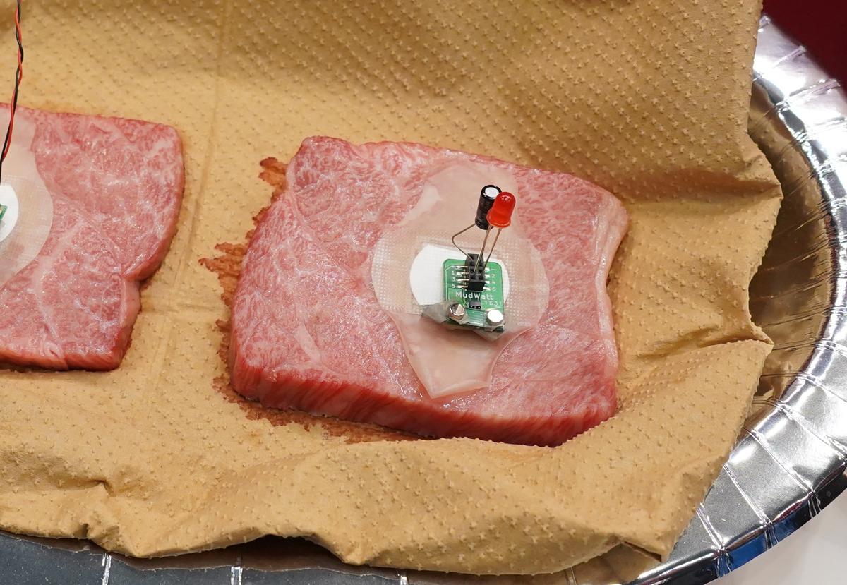お肉で実演。減った脂肪が可視化できるパッチで、部分痩せも夢じゃない？