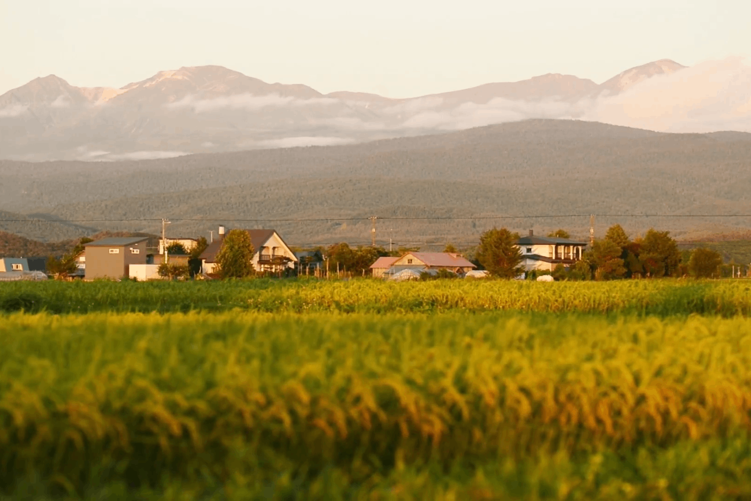 日本で「最も住み心地のいい田舎」が決定。北海道の「水道のない街」が4年連続トップの理由