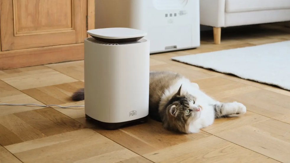 猫の毛を集めるために。24時間働いて、働いて、働いてくれる家電が登場