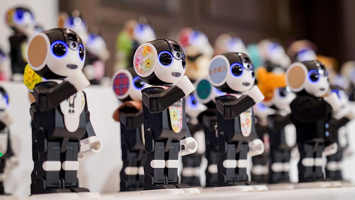 なぜロボホンは個人向け販売がメインなのか？── ロボットが家族の