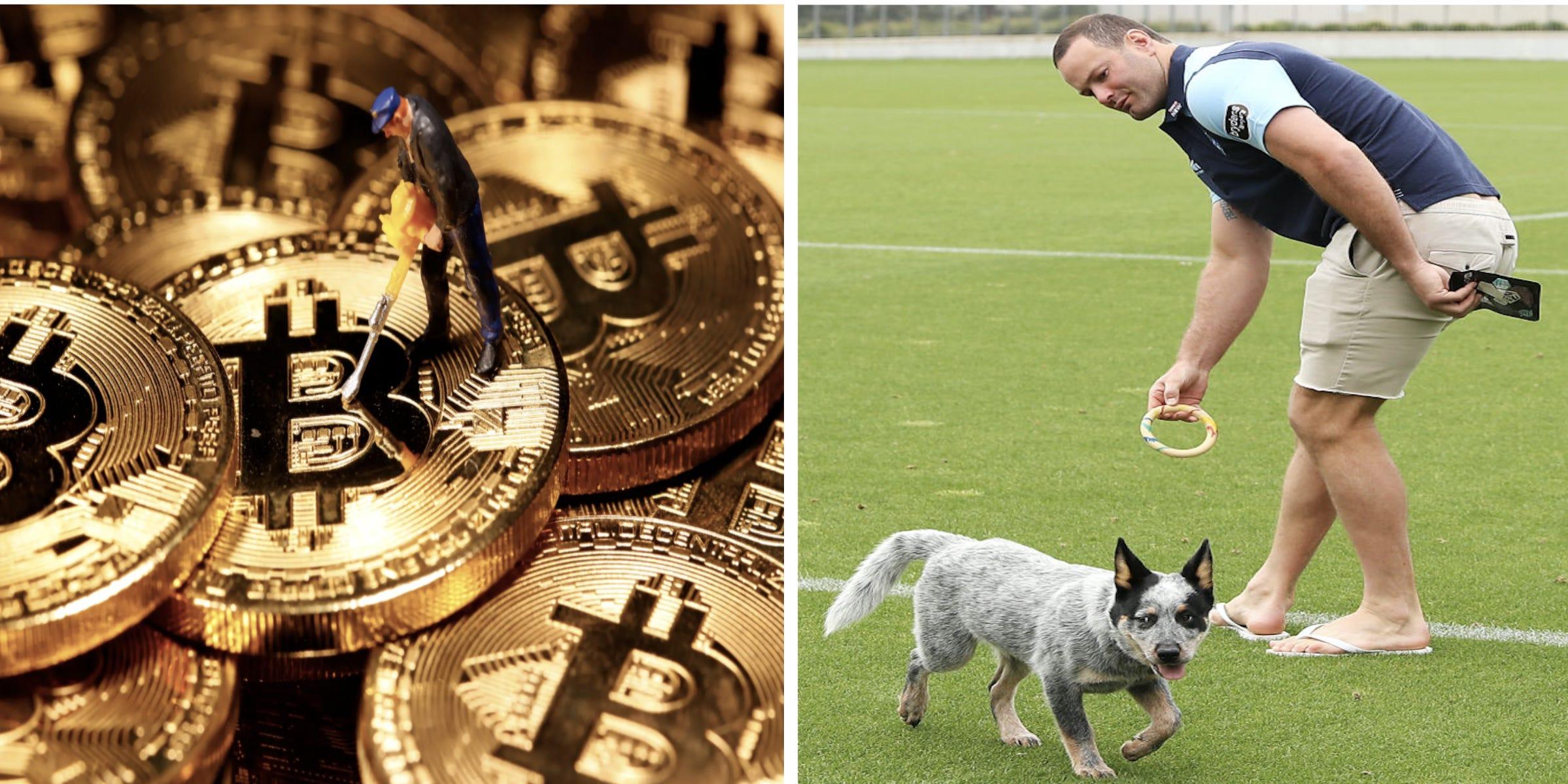 暗号通貨投資家はイヌ派が多く、金に投資する人はネコ派が多い…暗号通貨取引では男女差も大きい | Business Insider Japan