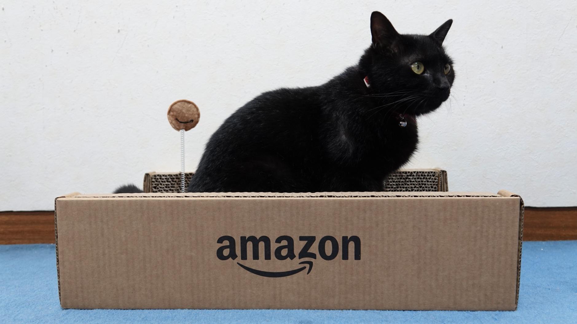 ネコまっしぐら。 Amazon印の爪とぎはコスパ良で最高のオモチャ