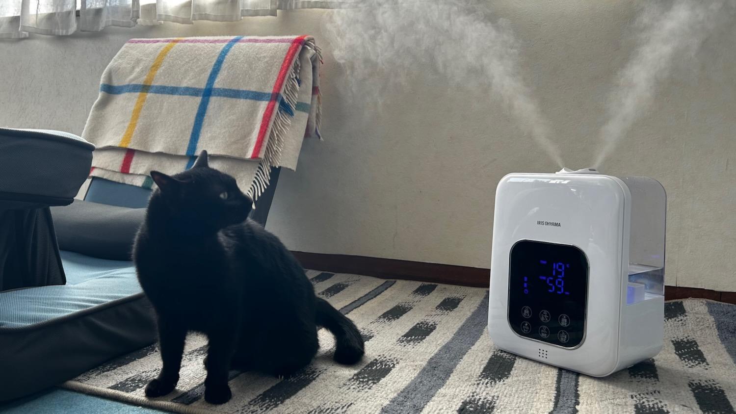 アイリスオーヤマ 加湿器 大容量 スチーム式(加熱式) 気化式 ハイブリット式 加湿量 700ml タンク容量 5L 19畳 7時間連続加湿 卓上 中古アイリスオーヤマ 加湿器 大容量 スチーム式(加熱式) 気化式