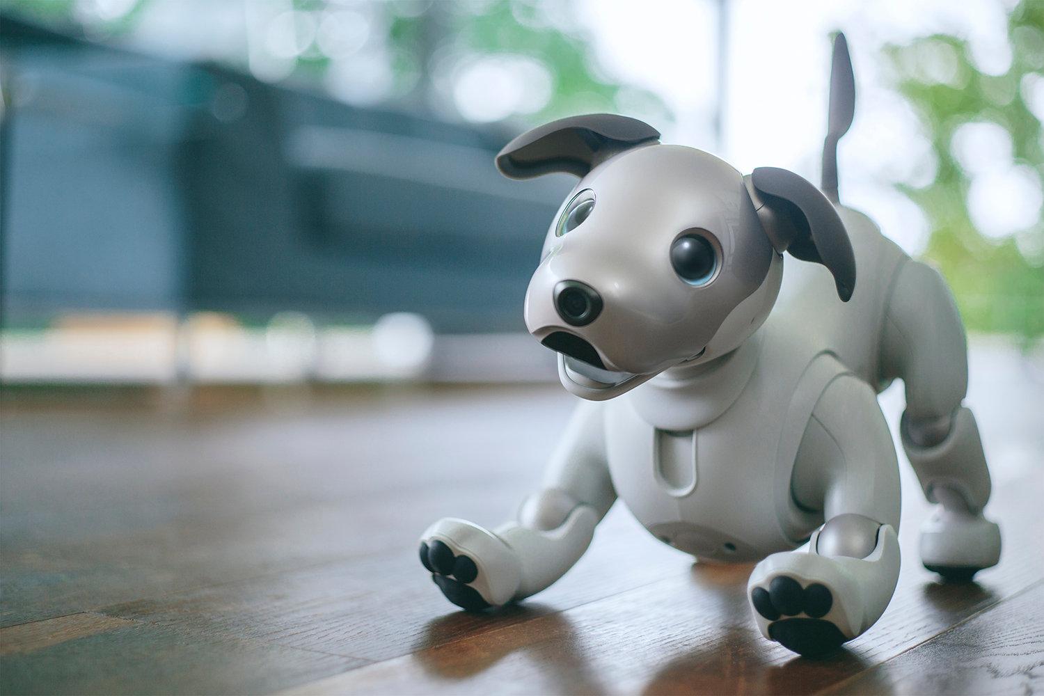 SONY aibo アイボ シルバー ロボット犬 12年ぶりに帰ってきたワン！ かわいさ＋賢さアップの犬型ロボット