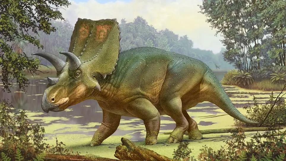211008dinosaur.jpg