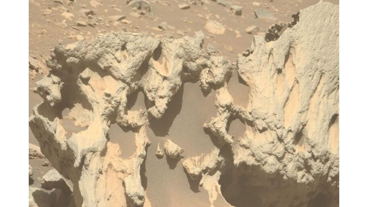 何に見える？ 火星探査機「パーサヴィアランス」が、彫刻みたいな隕石
