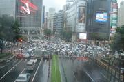 雨が降った時に無料で傘を貸してくれるサービス「シブカサ」