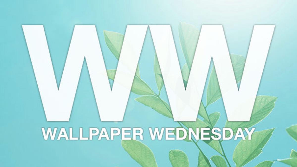 今週の壁紙堂vol 35 デスクトップに彩りを ライフハッカー ジャパン