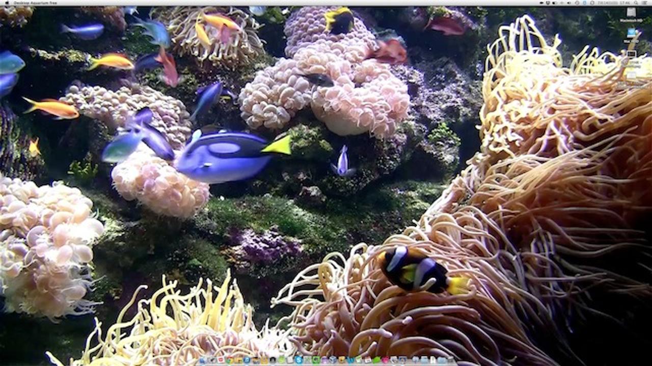 Macのデスクトップが涼しげな水族館になる無料アプリ Desktop Aquarium Free ライフハッカー 日本版 Macのデスクトップが涼しげな水族館になる無料アプリ Desktop Aquarium Free ライフハッカー 日本版