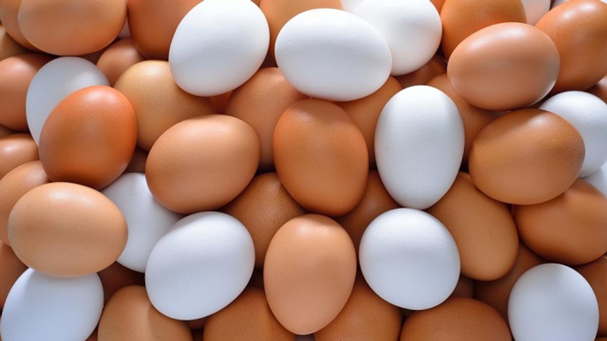 茶色い卵と白い卵は 味も栄養価も同じ という事実 ライフハッカー ジャパン