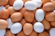 茶色い卵と白い卵は「味も栄養価も同じ」という事実