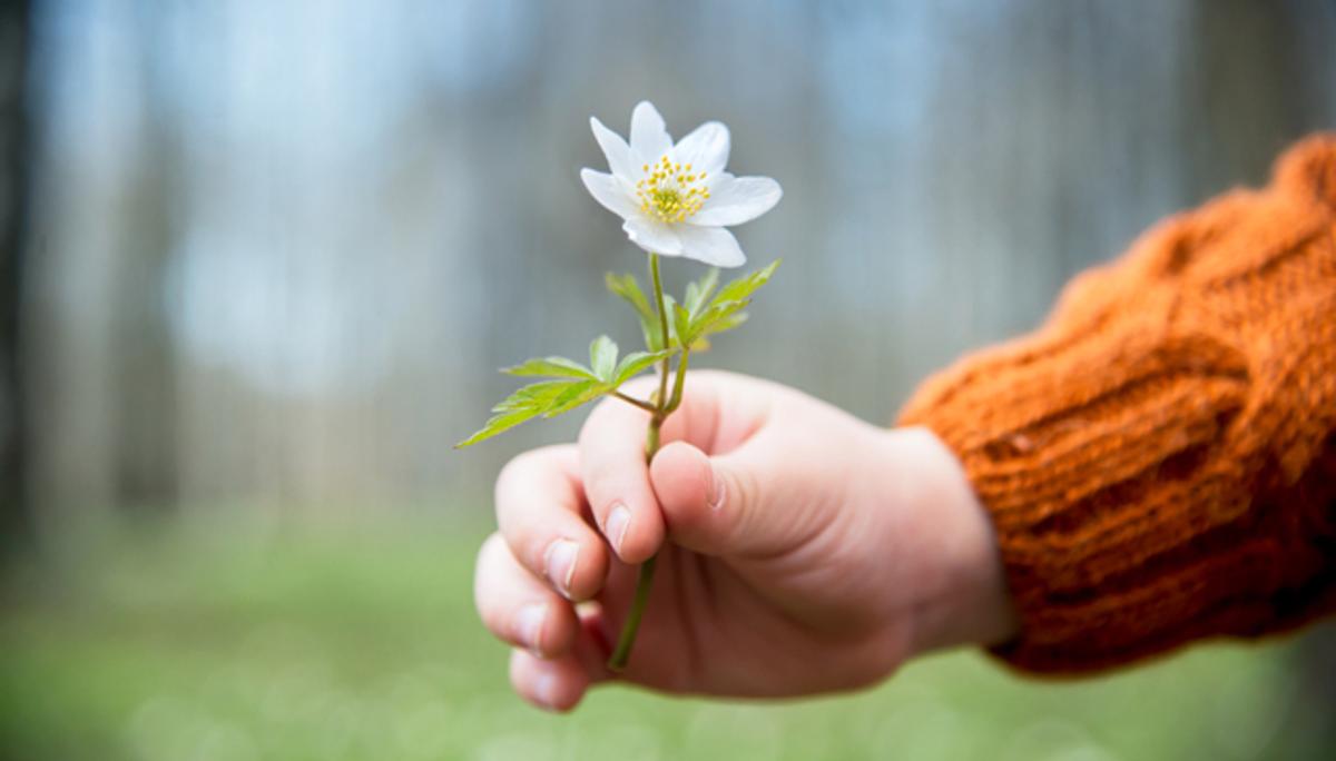 他人に親切にしている人は幸福感が高く 心身も健康 研究結果 ライフハッカー ジャパン