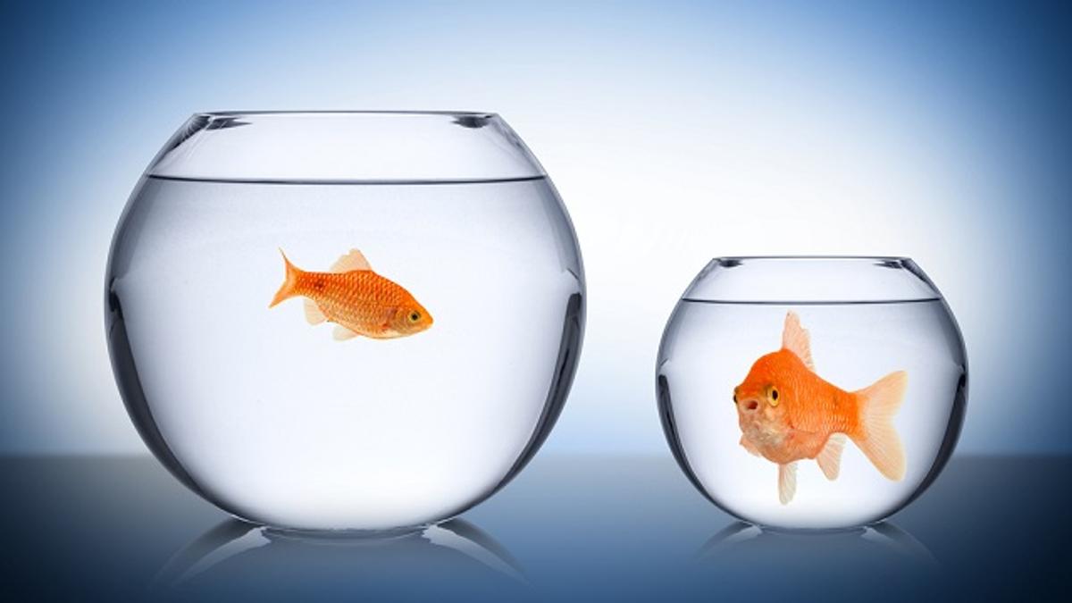 私たちはなぜ 妬み の感情を抱くのか そして 妬み をポジティブに活かすにはどうすればいいのか ライフハッカー ジャパン