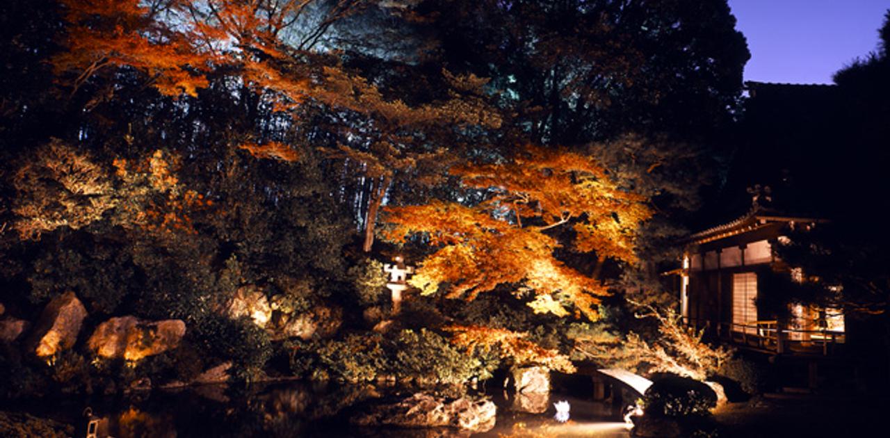 そうだ 京都のライトアップ 秋 行こう ライフハッカー ジャパン そうだ 京都のライトアップ 秋 行こう ライフハッカー ジャパン