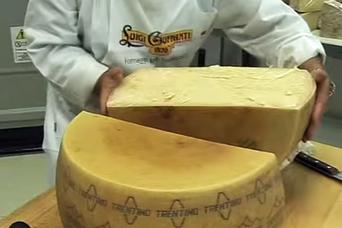 グイッ！パカッ！丸太みたいなチーズを軽快にナイフで割る方法