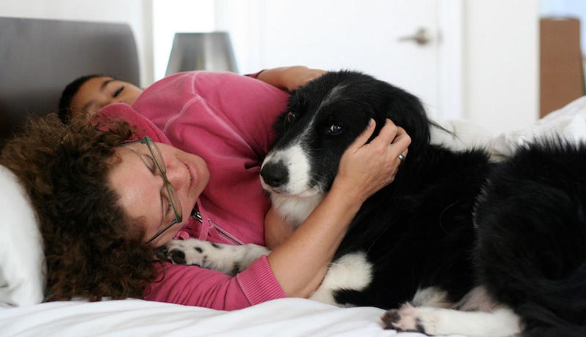 犬が嫌がっている のを見分ける方法 ライフハッカー ジャパン